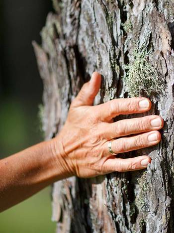 Spiritual Life Coach & Workshops im Einzelgespräch